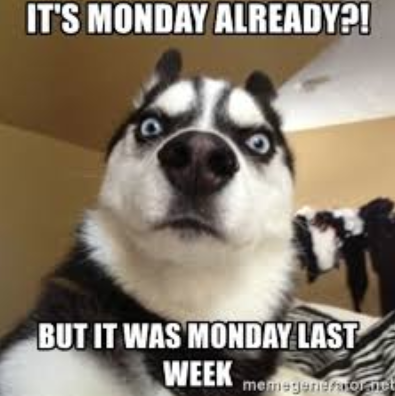 Monday Madness!! Have a Great Day!! - Hard Money Mike